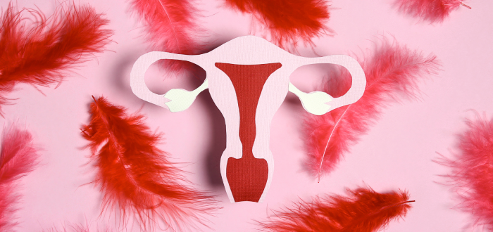 Qué es el sangrado de implantación y cómo diferenciarlo de otros síntomas menstruales
