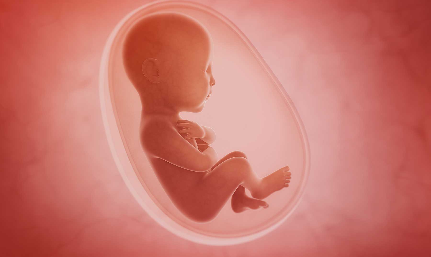 ‘En el vientre materno’ el documental completo de National Geographic